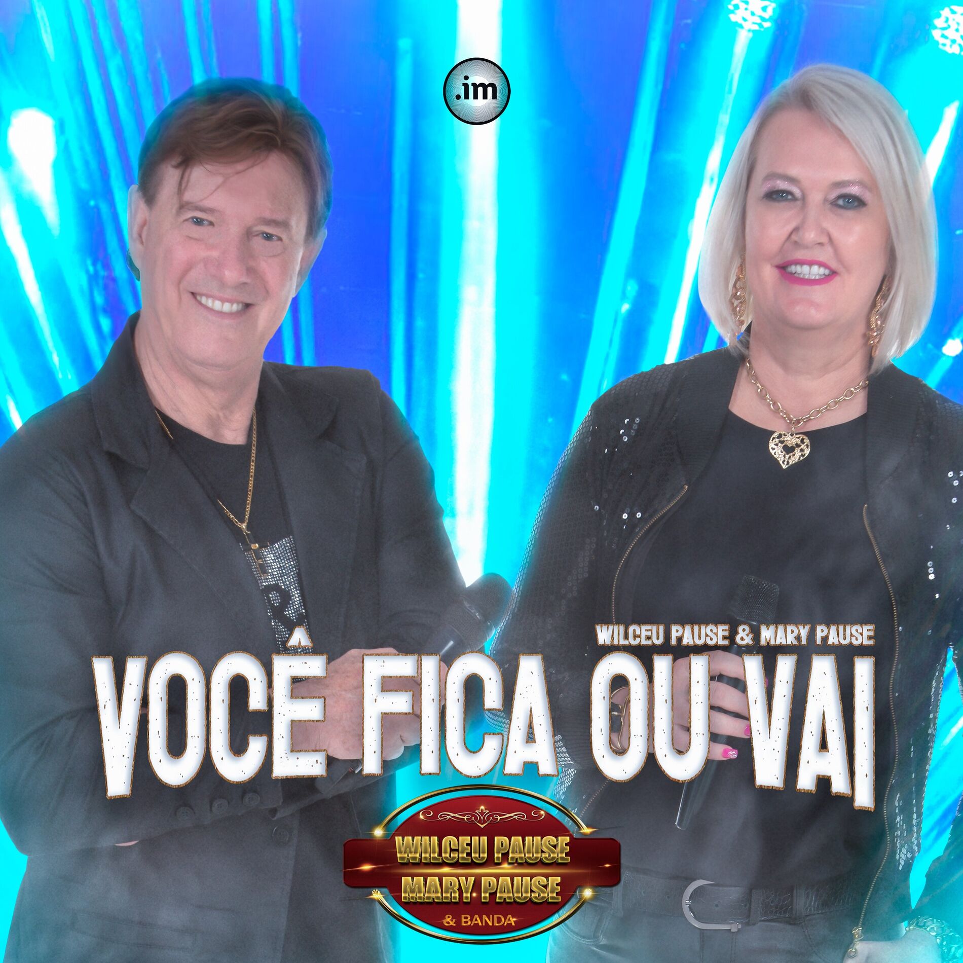 Album cover of Você Fica ou Vai