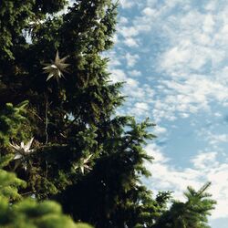 Cover of Новогодняя