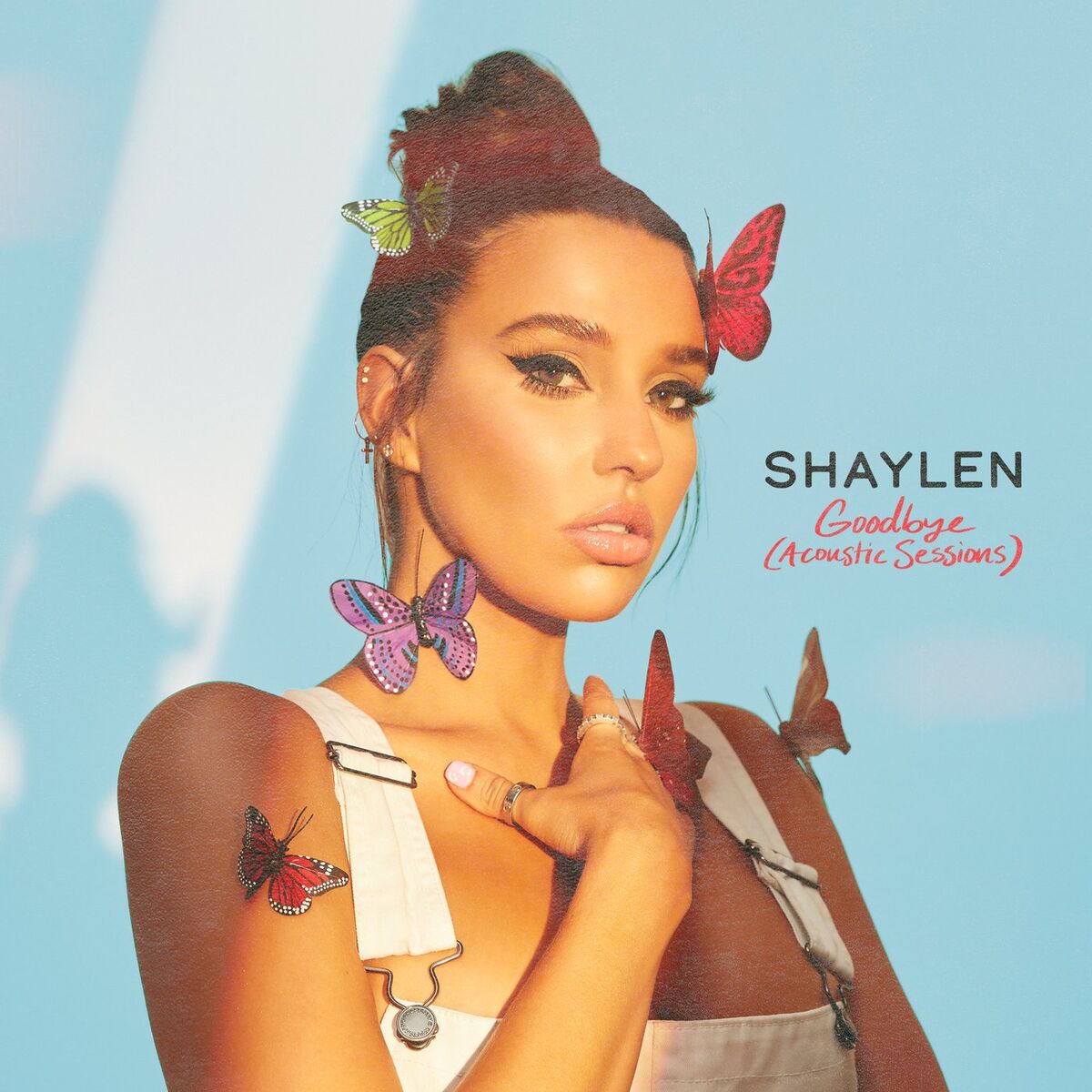 Album cover of Goodbye (Acoustic Sessions)