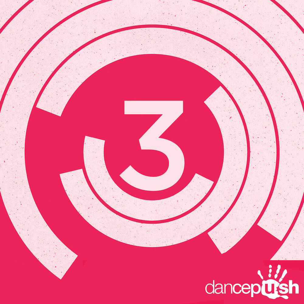 Picture of 3 Years of Dancepush (Paul Vinitsky Remixes)
