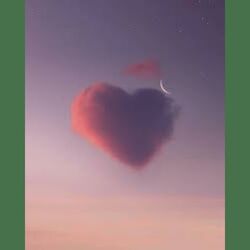 Cover of Mi Amor