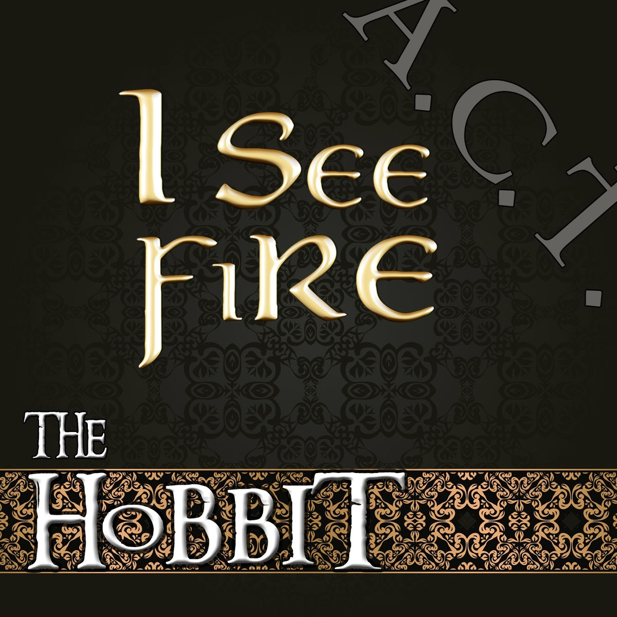 Album cover of I See Fire