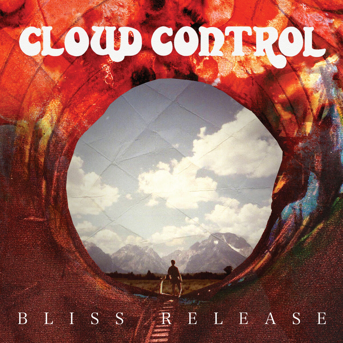 Album cover of Bliss Release