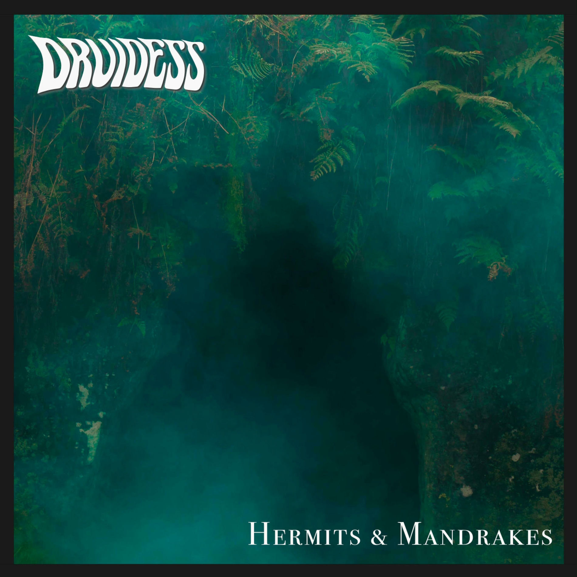 Album cover of Hermits & Mandrakes