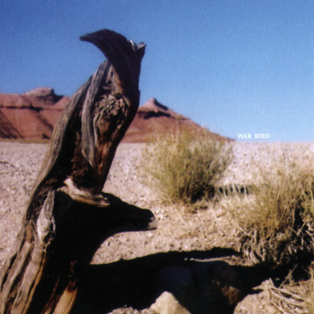 Picture of War Bird
