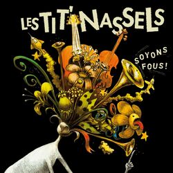 Cover of Soyons fous !