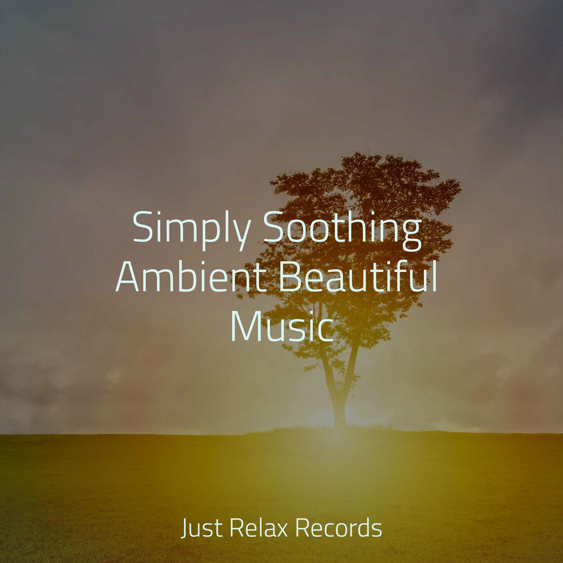 Album cover of Simply Soothing Ambient Beautiful Music