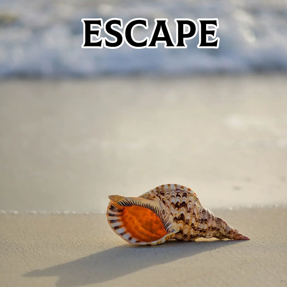 Album cover of Escape