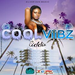 Cover of Cool Viibz Riddim