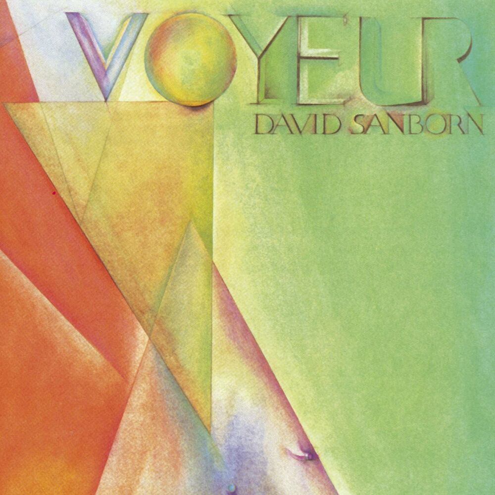 Picture of Voyeur