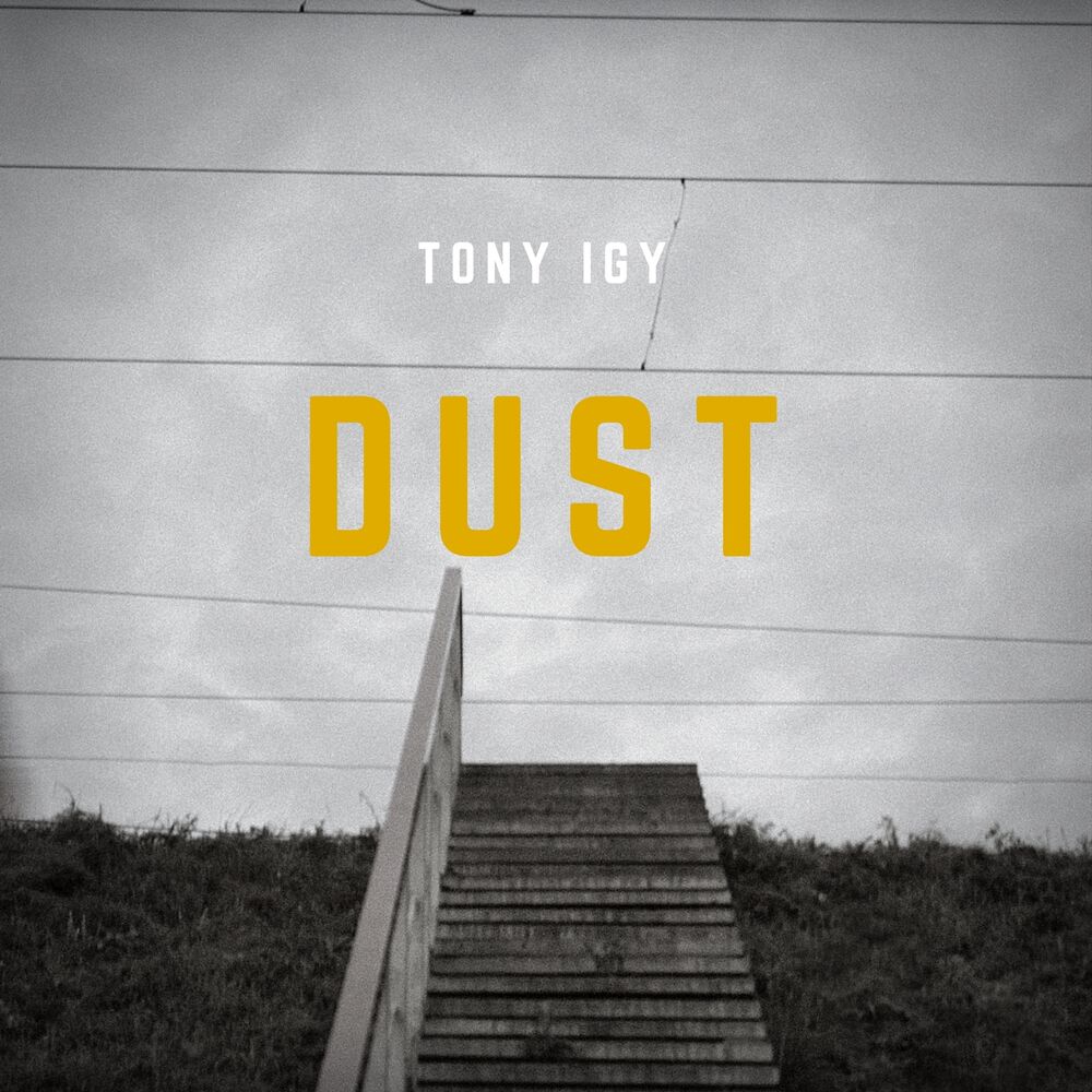 Picture of The Dust
