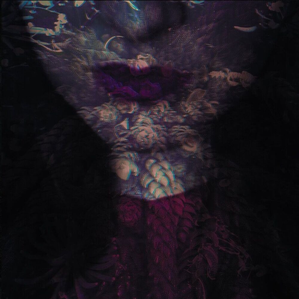 Picture of FIERCE