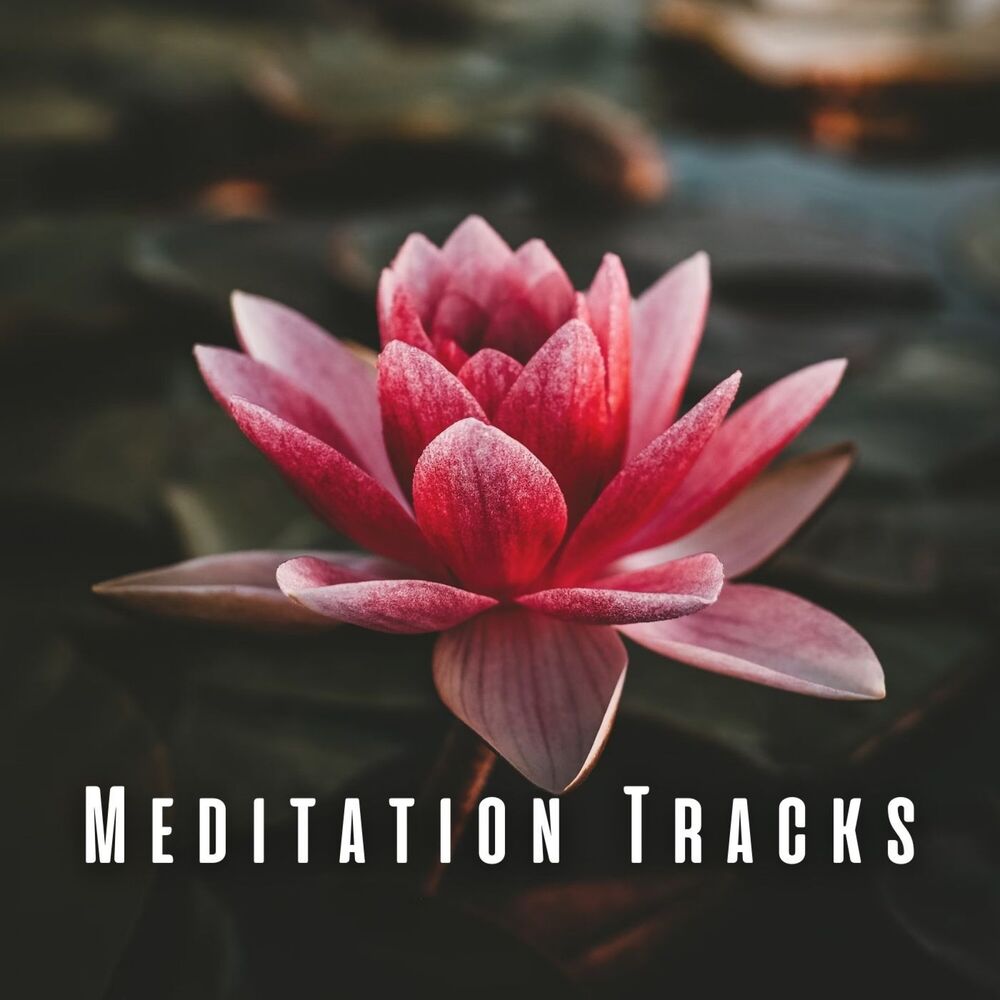 Picture of Meditation Tracks: Calming Chill Music and Lofi Tunes