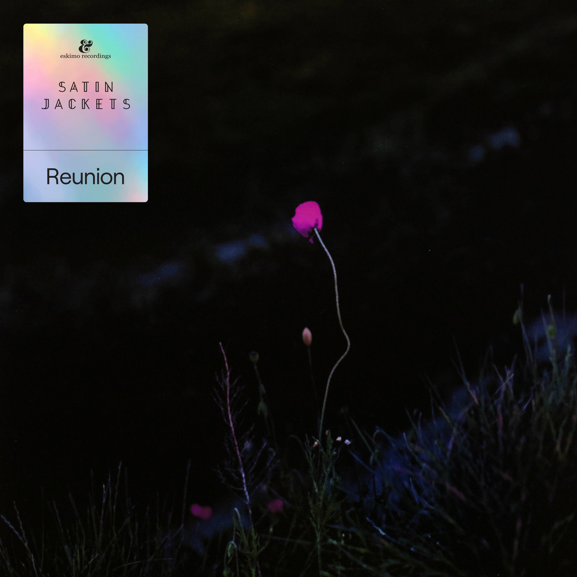 Album cover of Reunion