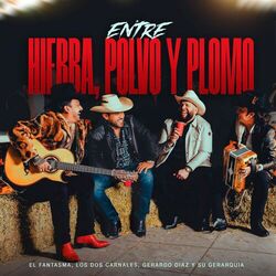 Cover of Entre Hierba, Polvo y Plomo
