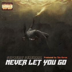 Cover of Never Let You Go