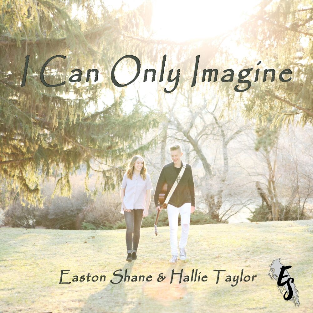 Picture of I Can Only Imagine