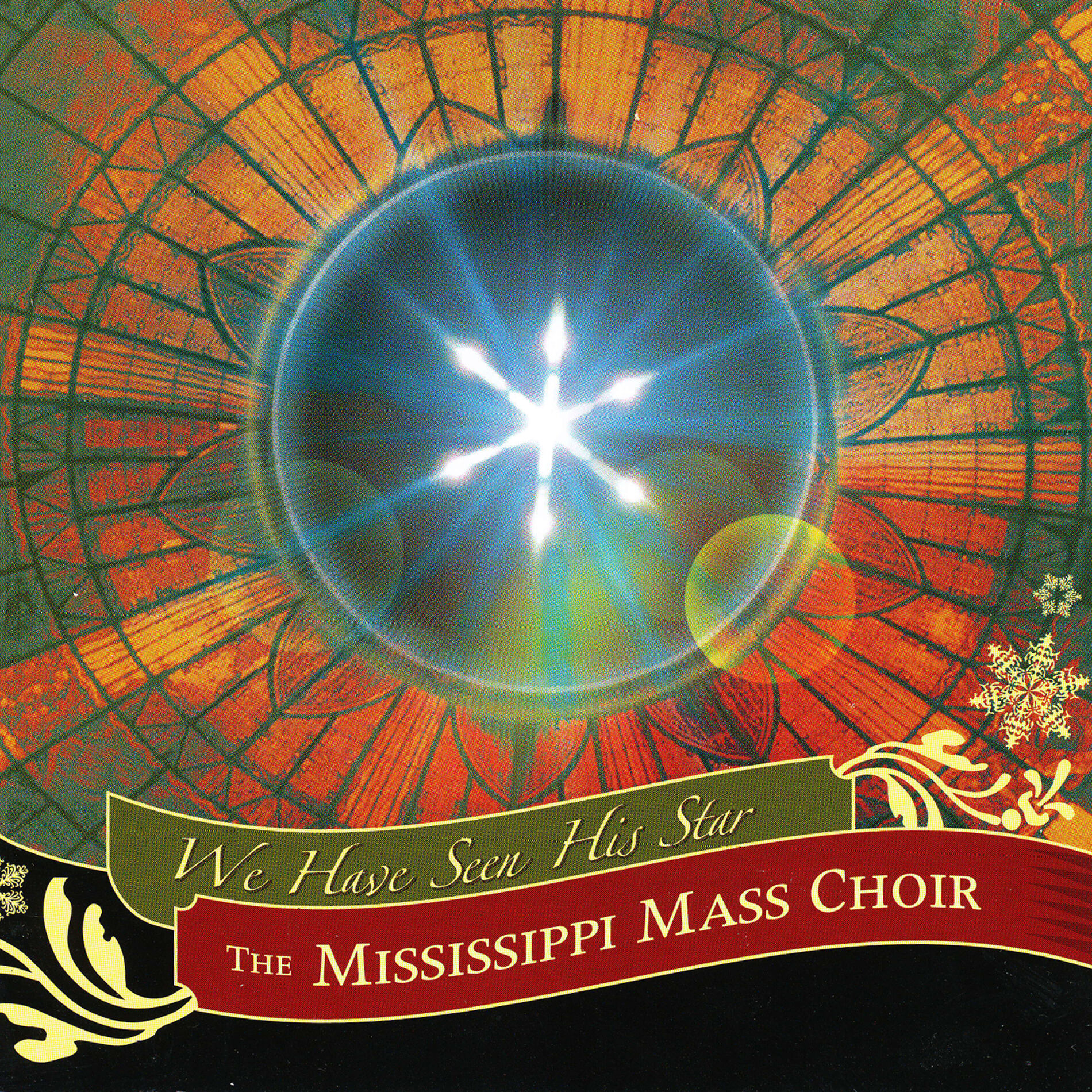 Album cover of We Have Seen The Star (Live)