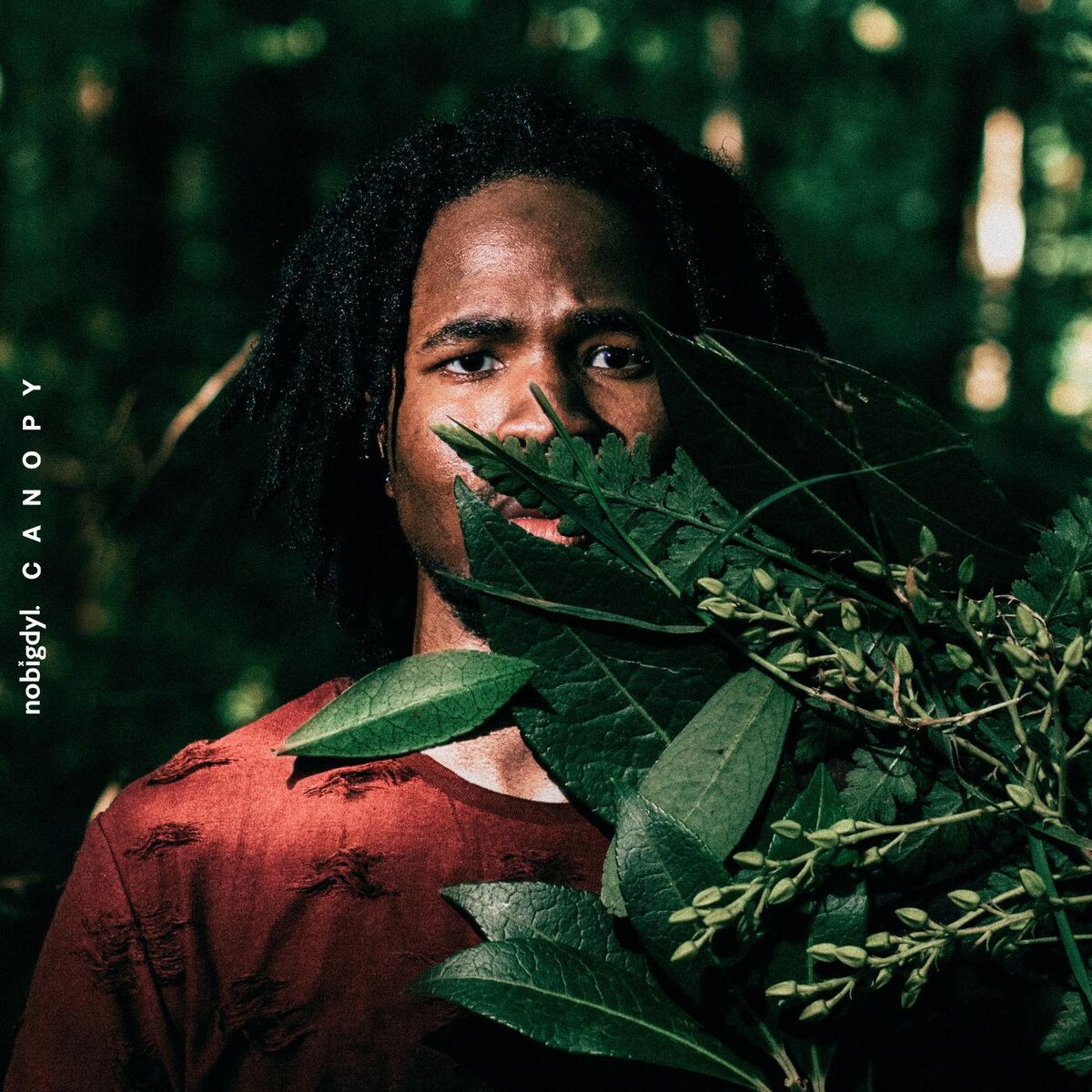 Album cover of Canopy