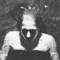 Cover of Lism