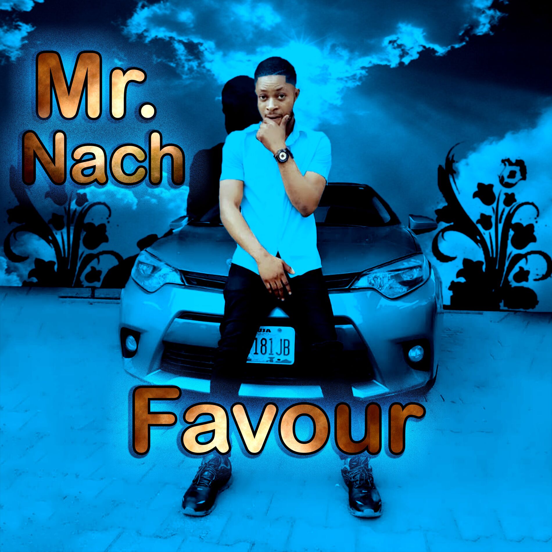 Album cover of Favour