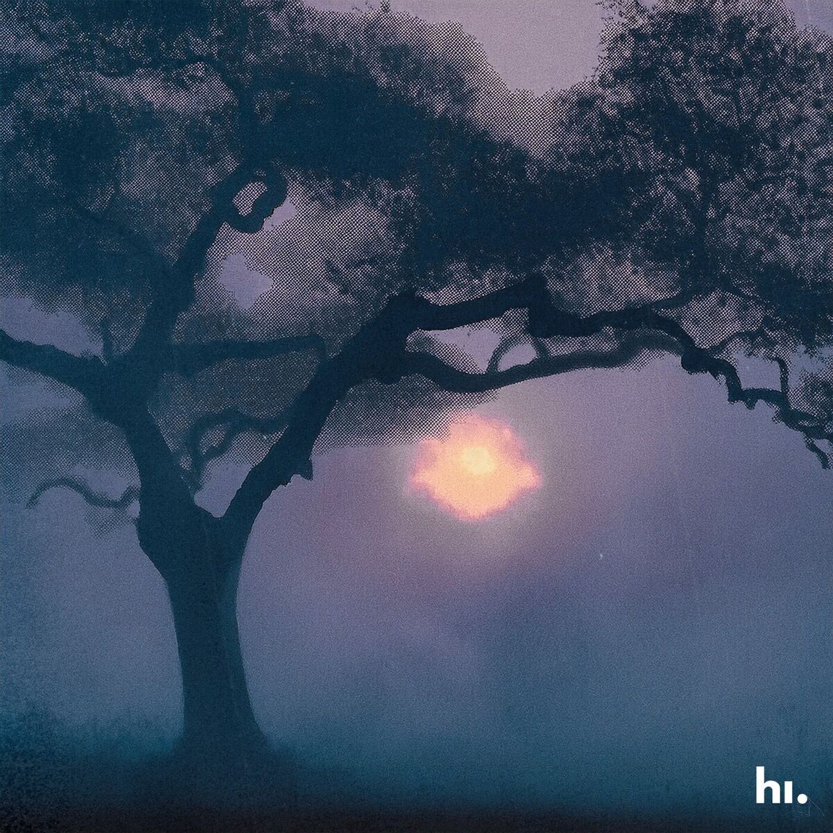 Album cover of Picture Perfect