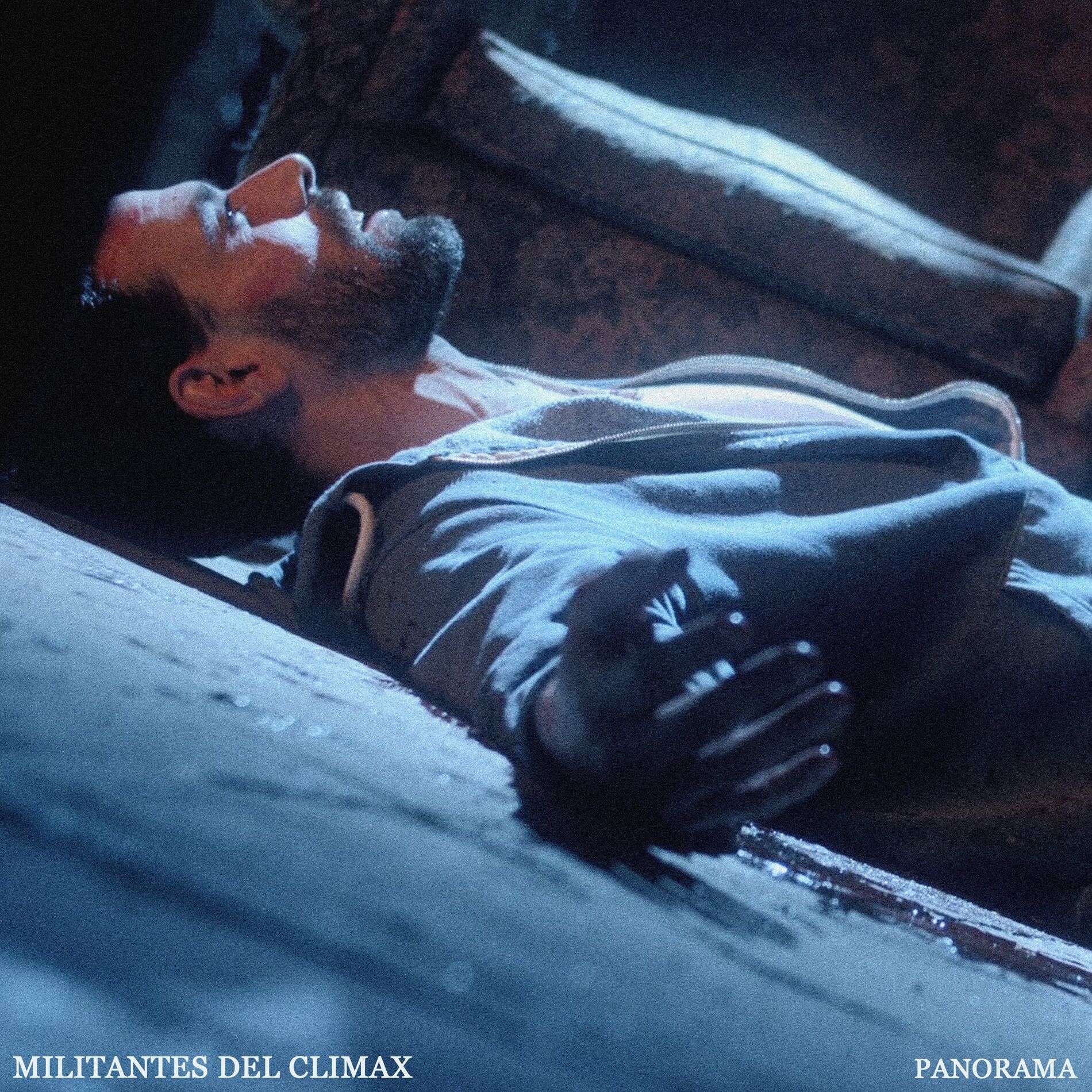 Album cover of Panorama