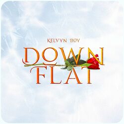 Cover of Down Flat