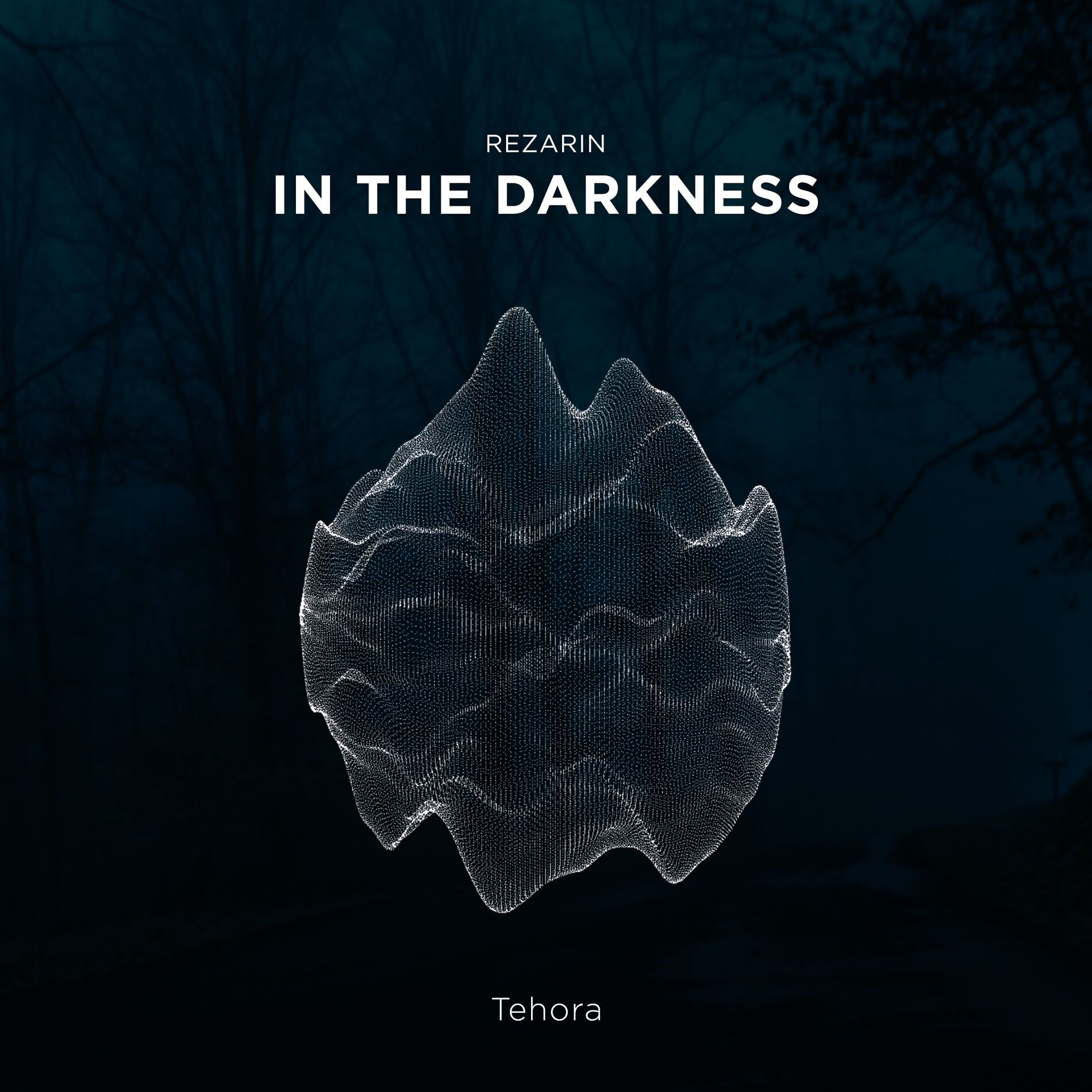 Album cover of In The Darkness