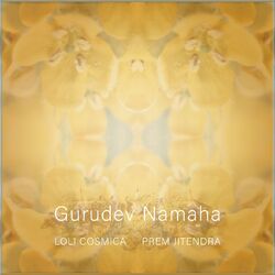 Cover of Gurudev Namaha