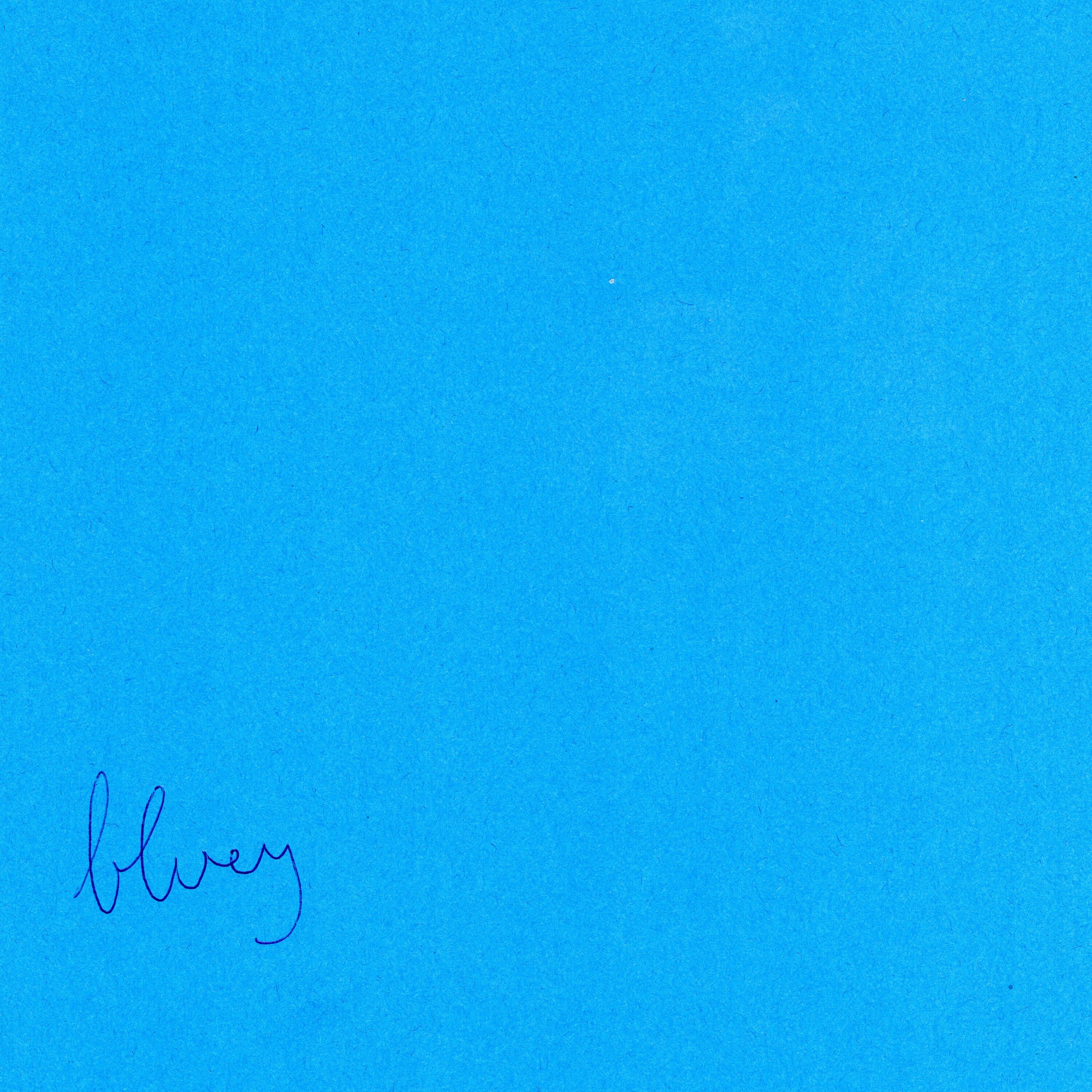 Album cover of bluey