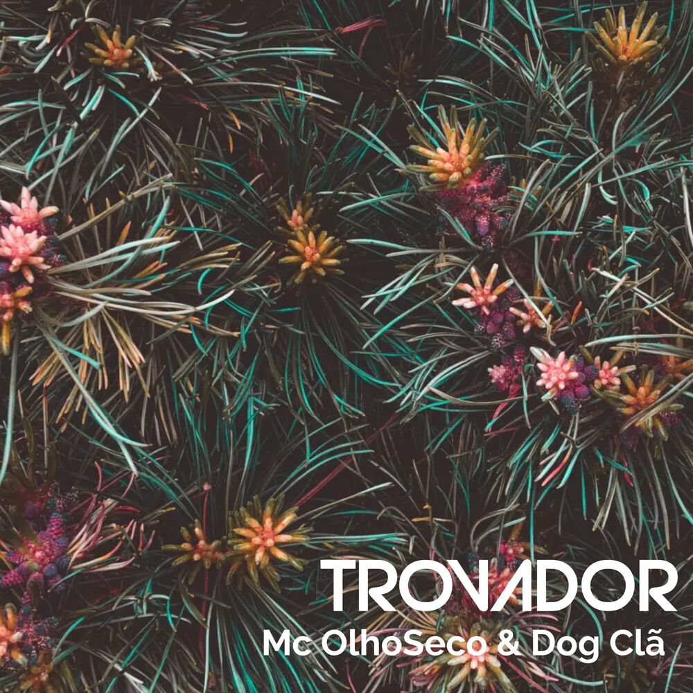 Picture of Trovador