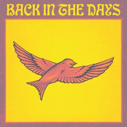 Cover of Back in the Days (Melodiesinfonie Remix)