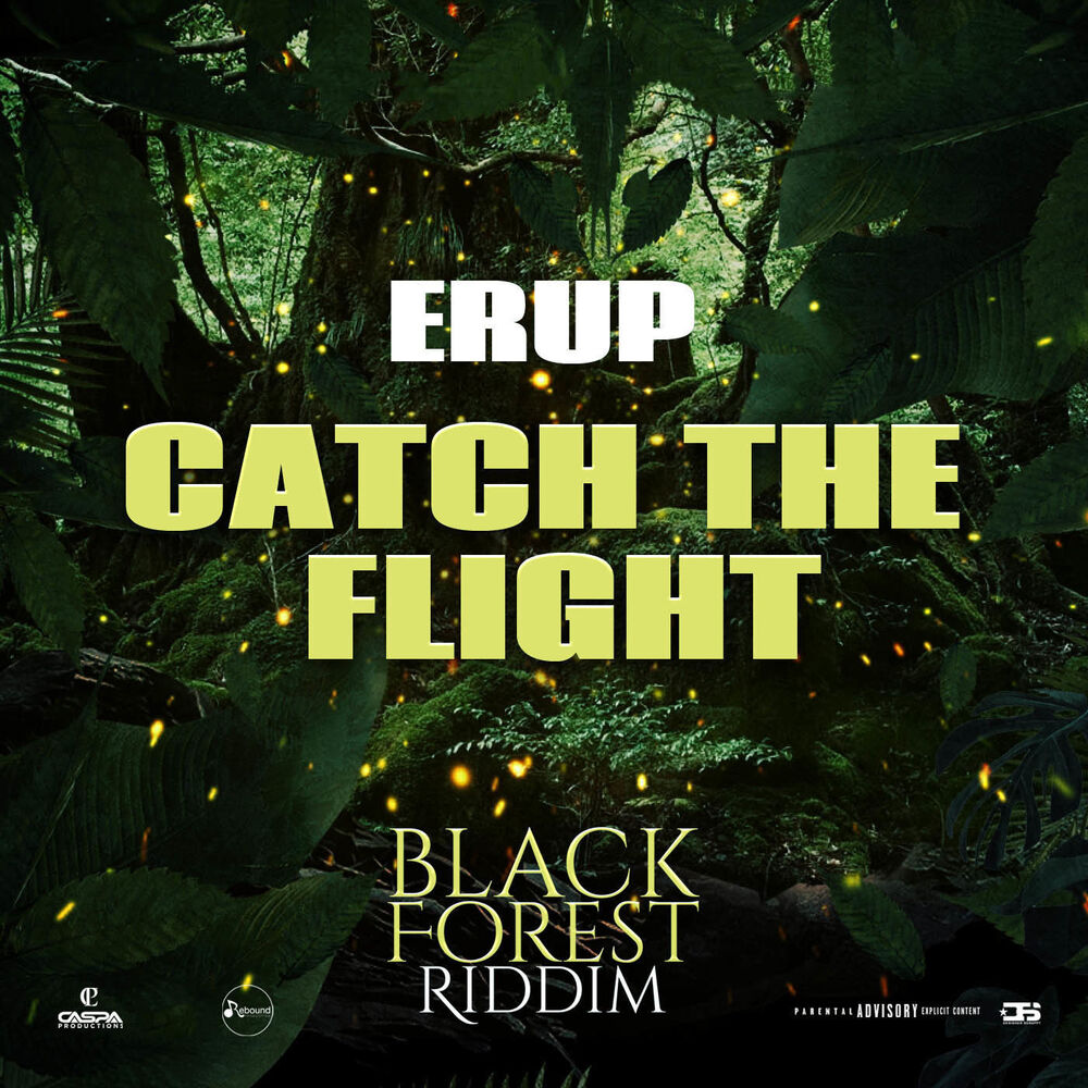 Picture of Catch the Flight