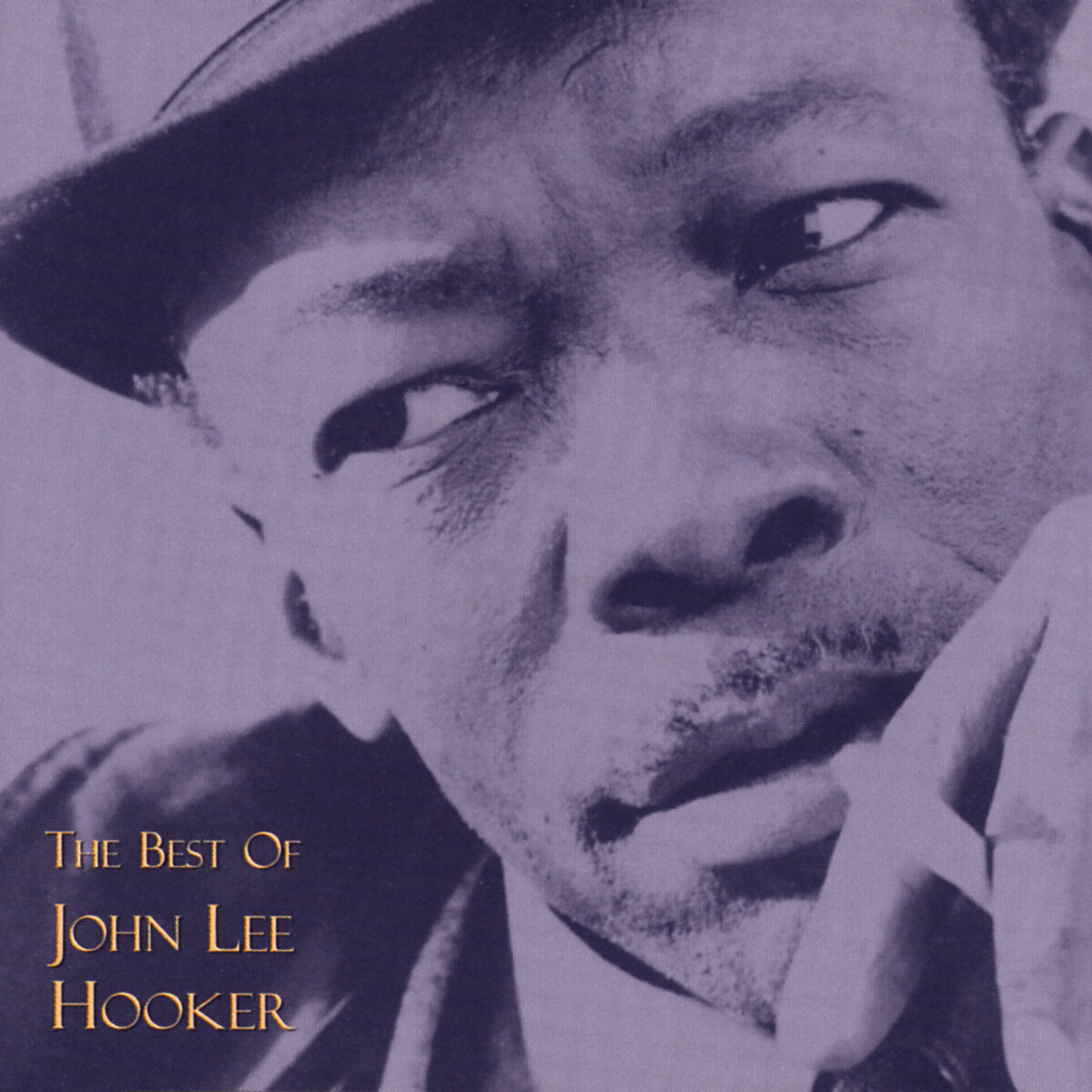 Album cover of The Best Of John Lee Hooker