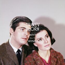 Cover of Why Does the Wind?
