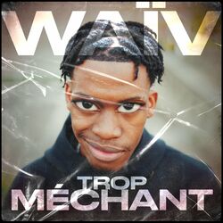 Cover of Trop méchant