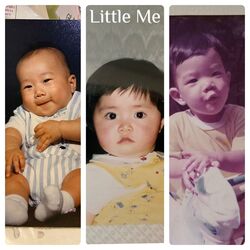 Cover of Little Me