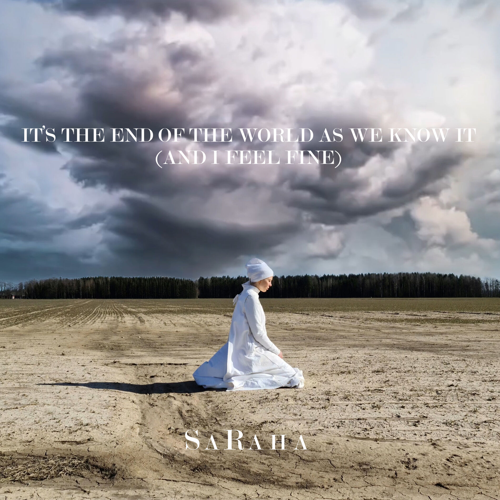 Album cover of It's the End of the World As We Know It