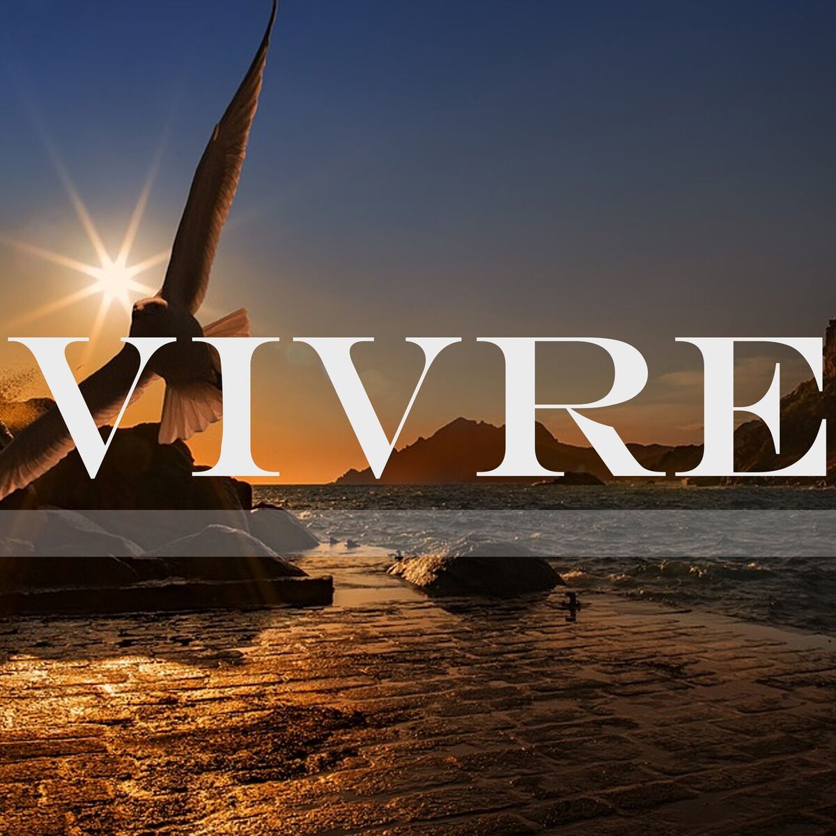 Album cover of Vivre