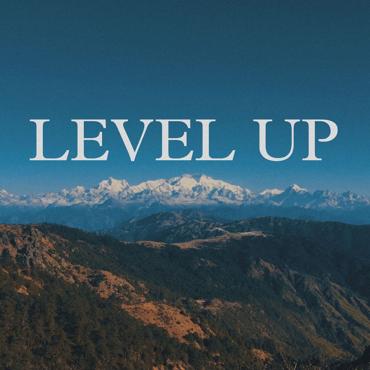 Album cover of Level Up