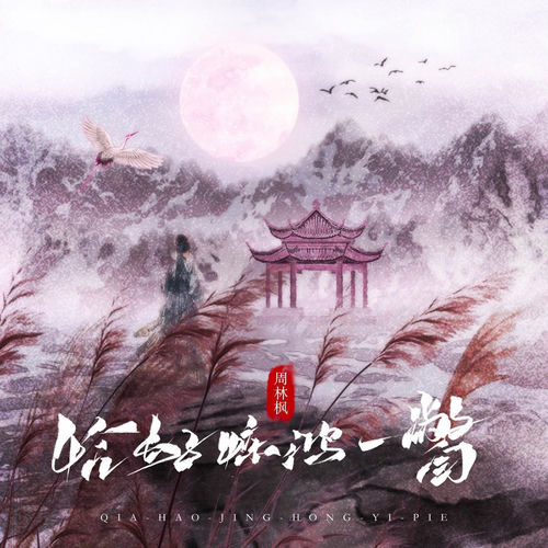 恰好惊鸿一瞥