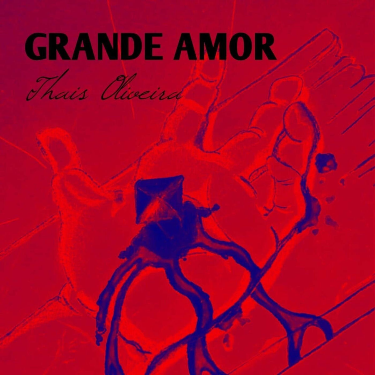 Album cover of Grande Amor