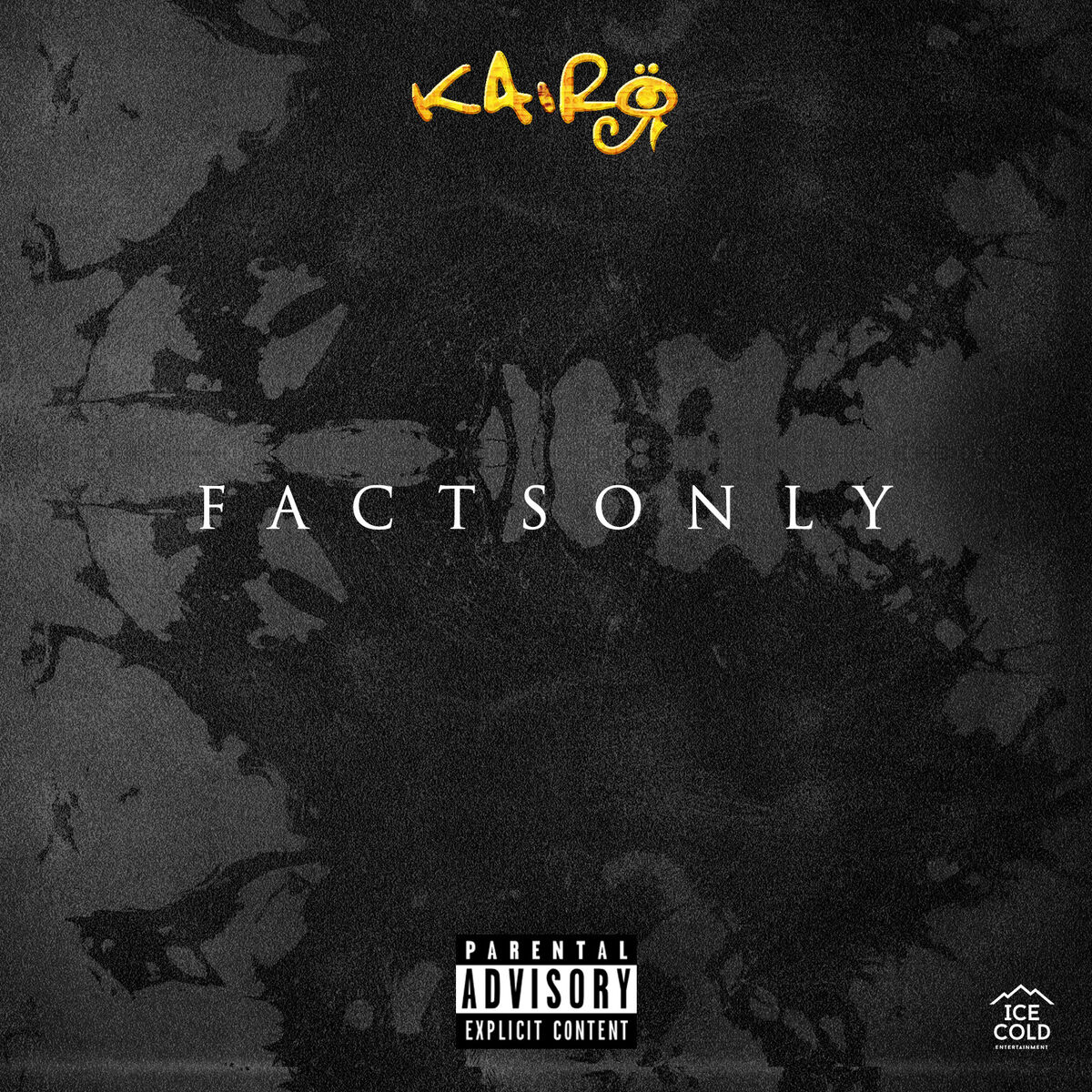 Album cover of #FactsOnly