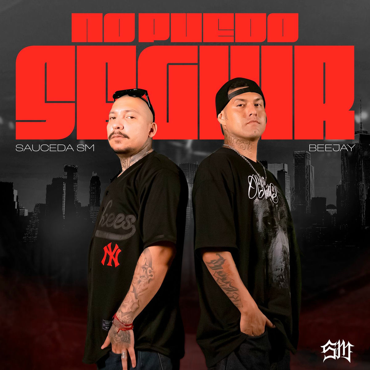 Album cover of No Puedo Seguir