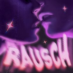 Cover of Rausch