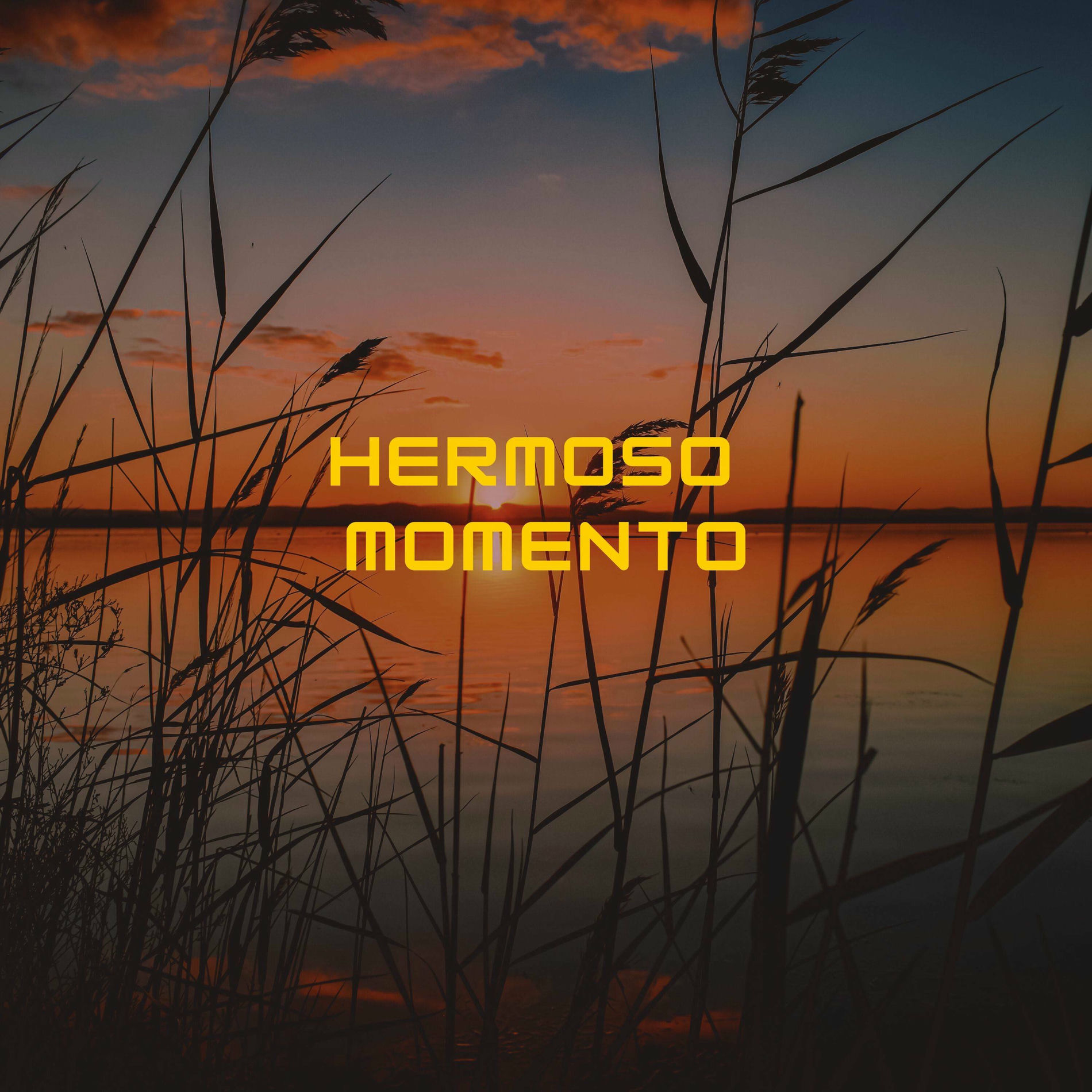 Album cover of Hermoso Momento