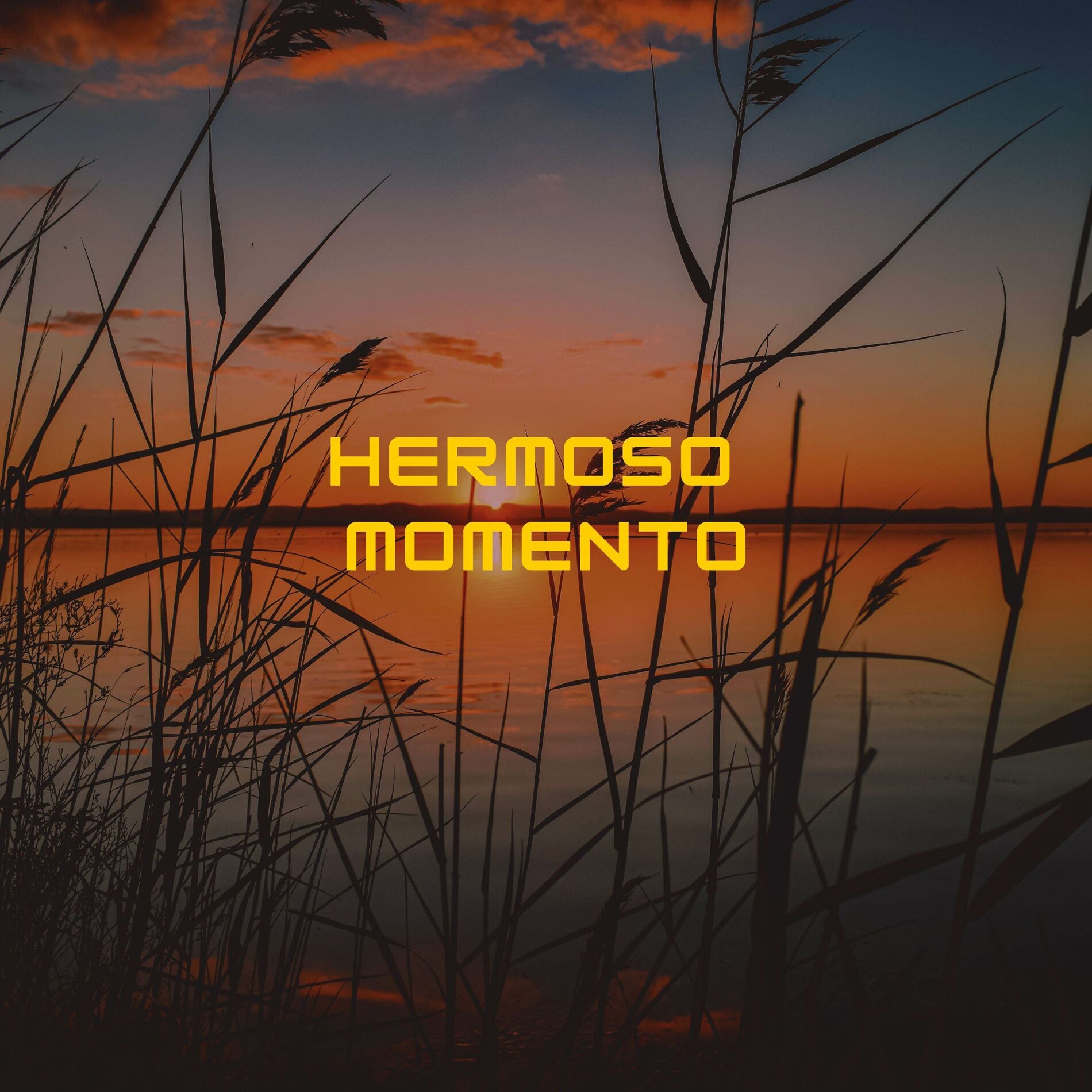 Album cover of Hermoso Momento