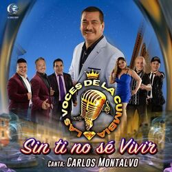 Sin Ti No Sé Vivir