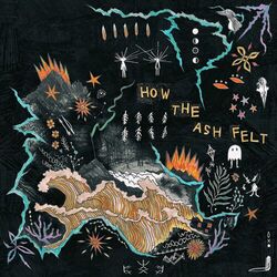 Cover of How The Ash Felt